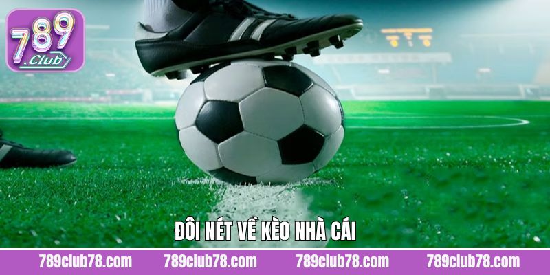Tổng quan nội dung cần biết về kèo cược tại nhà cái