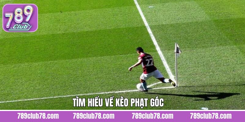 Sơ lược về thông tin kèo phạt góc