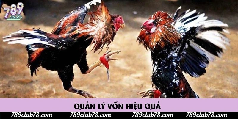 Quản lý vốn hiệu quả