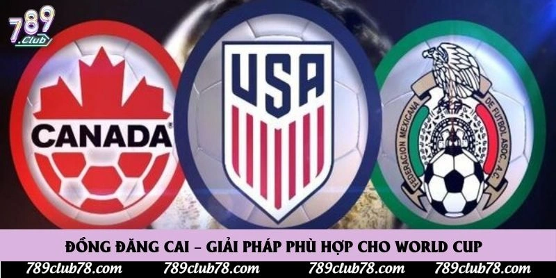 Đồng đăng cai – giải pháp phù hợp cho World Cup